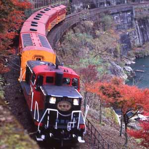 京都新聞企画事業株式会社 / 嵯峨野トロッコ列車と六甲有馬