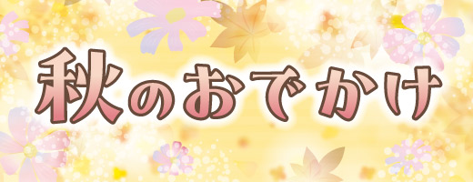 イルミル情報BOX