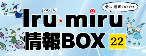 イルミル情報ボックス