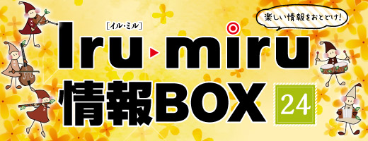 イルミル情報ボックス